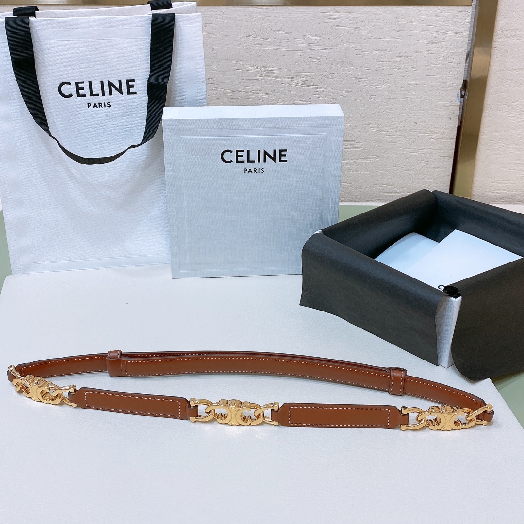 Celine Triomphe Gourmette Adjustable Belt In Black/Brown/White Taurillon Leather With Gold/Silver Hardware - 图片 8