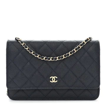 Chanel Wallet On Chain | Designer Handbags for Women