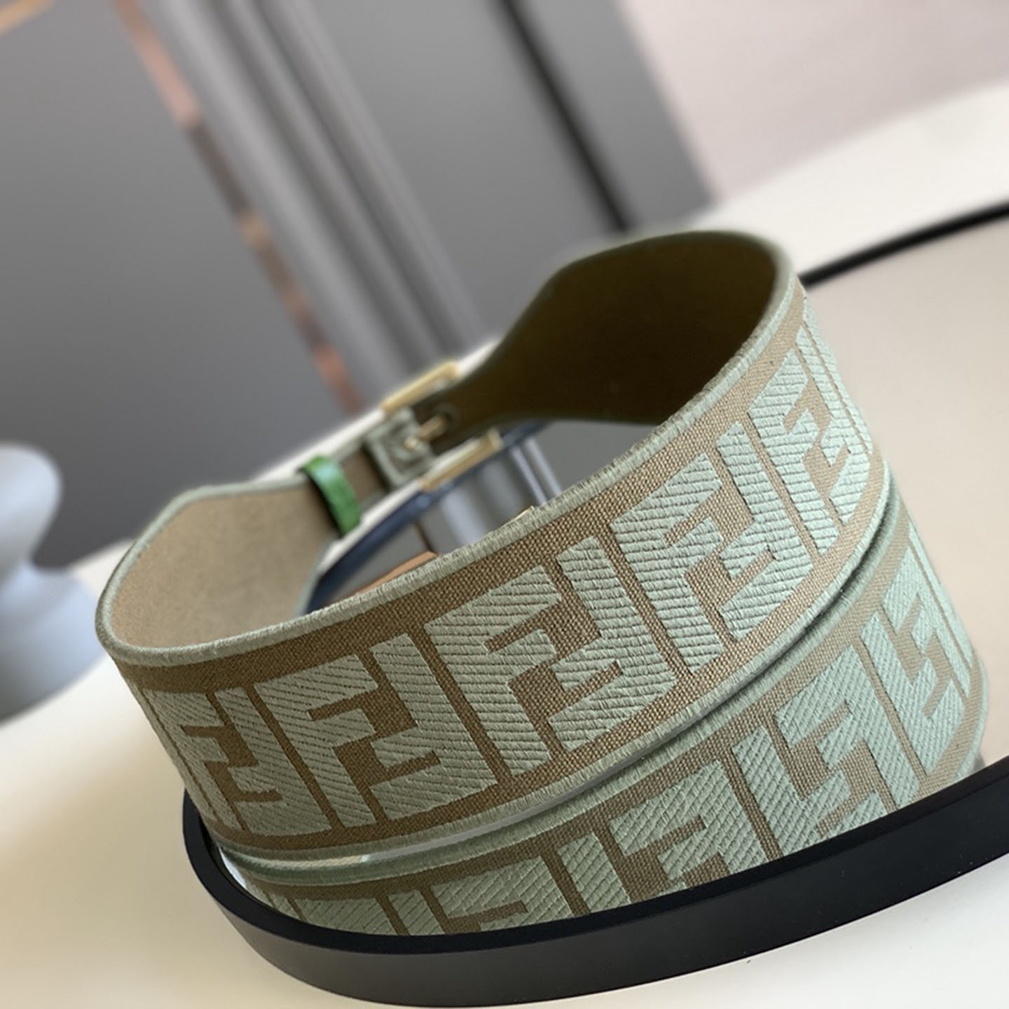 Fendi Women's Belt In Green/Black/Beige/Yellow FF Logo Embroidery Canvas With Gold Hardware 60mm - 图片 10
