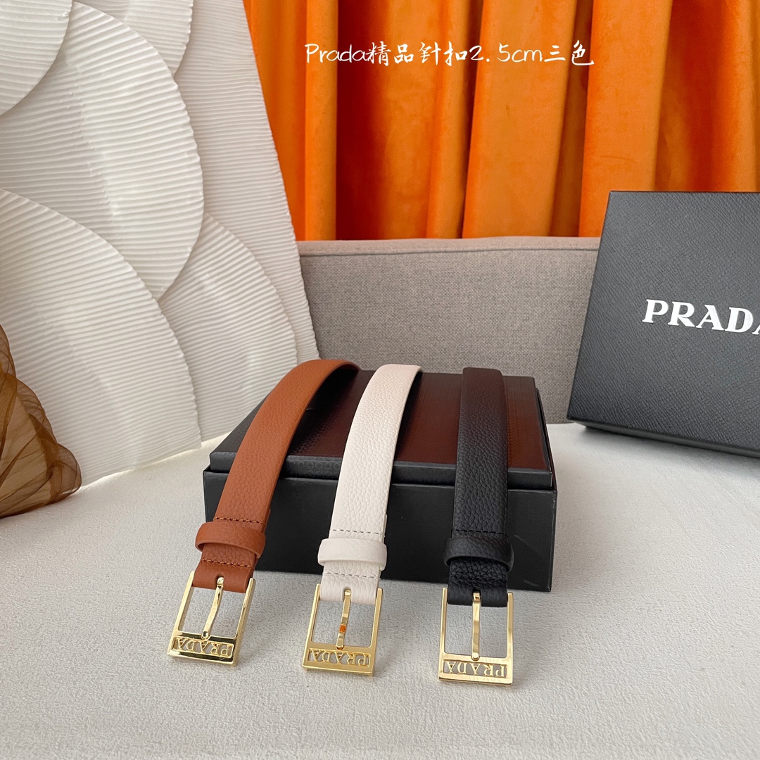 Prada Women' s Square Buckle Belt In Brown/Black/White Calfskin With Gold Hardware 25mm - 图片 4