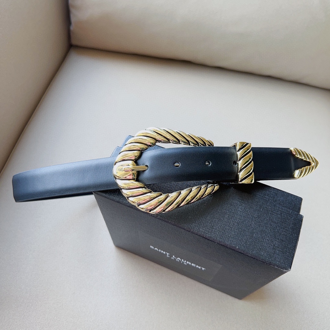 Saint Laurent Croissant De Lune Buckle Large Belt In Black Smooth Calfskin With Gold Hardware 30mm - 图片 2