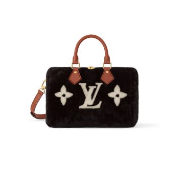 Louis Vuitton Bags Speedy