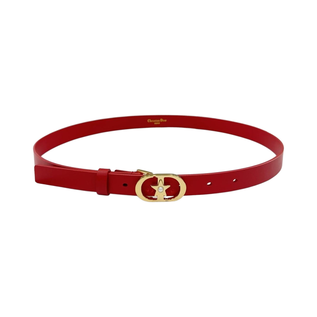 Dior Women' s Lucky 30 Montaigne Star Buckle Belt In Black/Red/White/Pink/Musturd/Brown/Khaki/Silver/Gold/Blue/Grey Calfskin With Gold/Silver Hardware 20mm - 图片 4