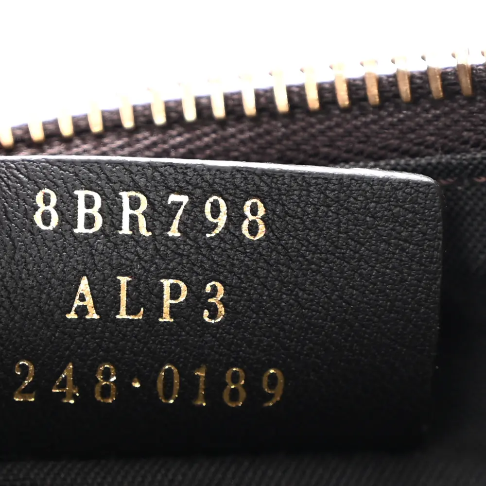 Fendi Small FF 1974 Fendigraphy Hobo Bag Tobacco/Moro/Ebano Jacquard Fabric & Grace Vitello Leather Gold Hardware - 图片 8