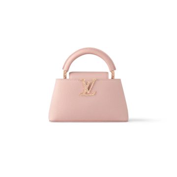 Louis Vuitton Bags Capucines