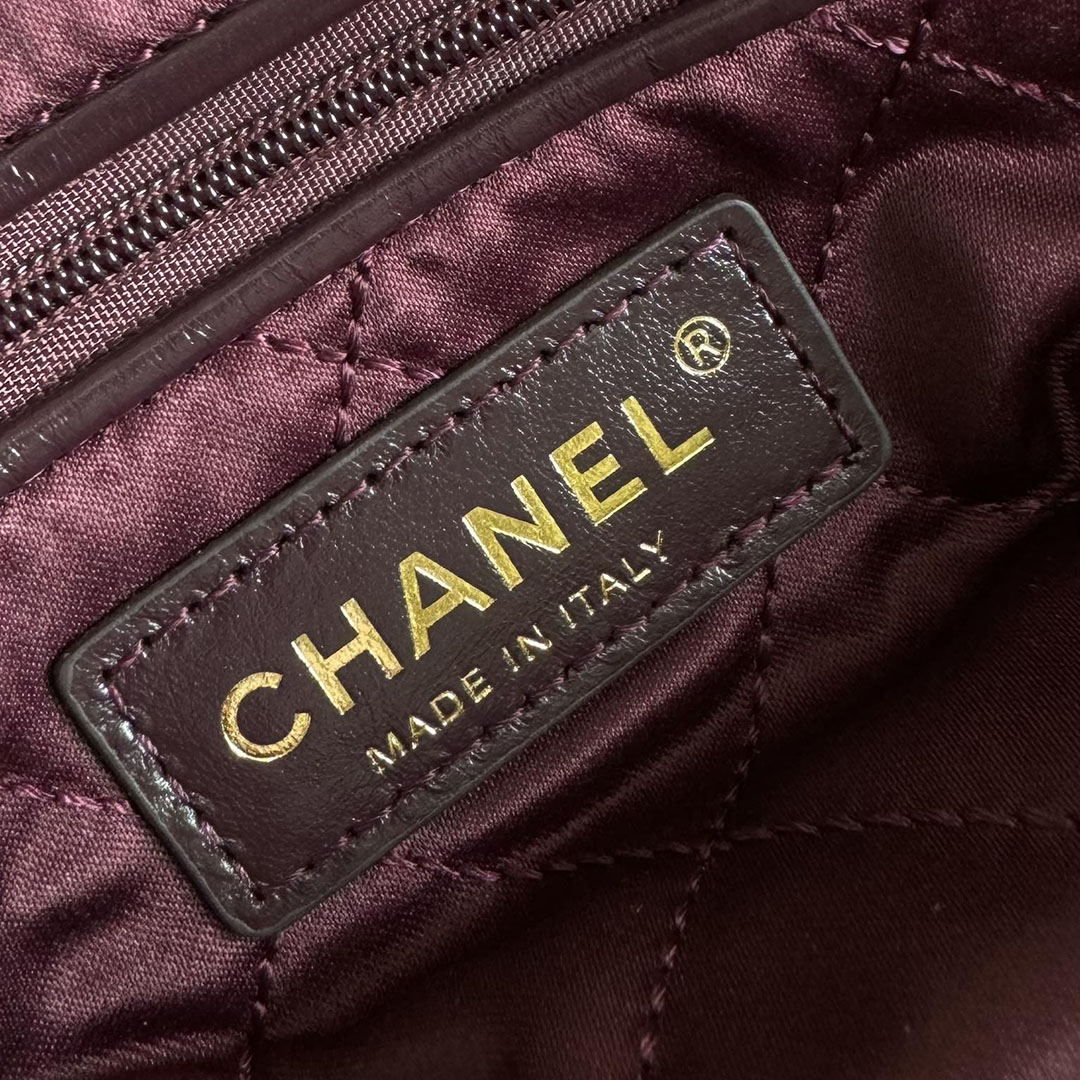 Chanel 22bags Wine Red / Mint green Shoulder Bags - 图片 6