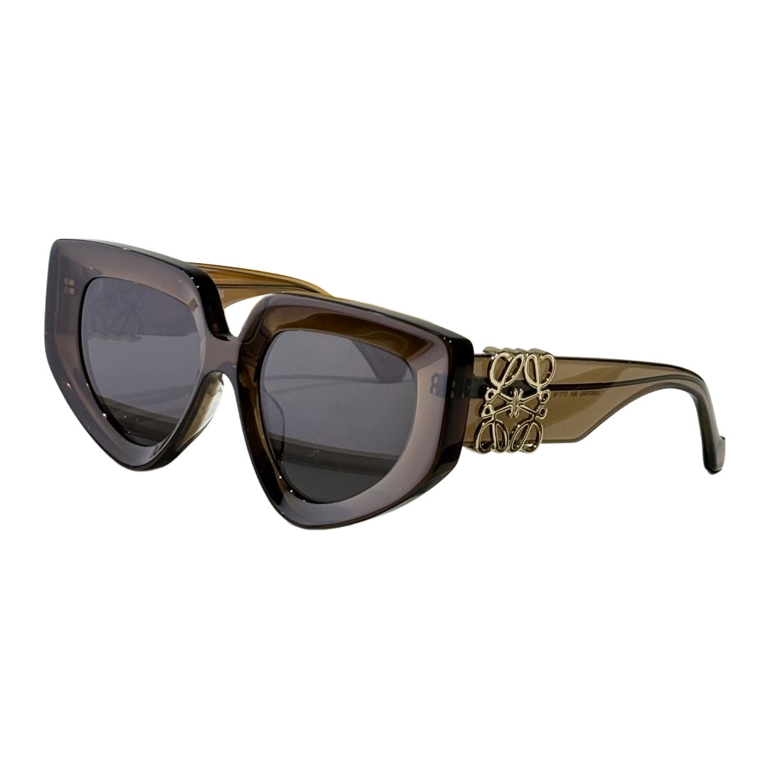 Loewe glasses grey/pink/tawny/leopard black/leopard brown/black silver/black gold/black brown color Size 51口19-145 - 图片 4