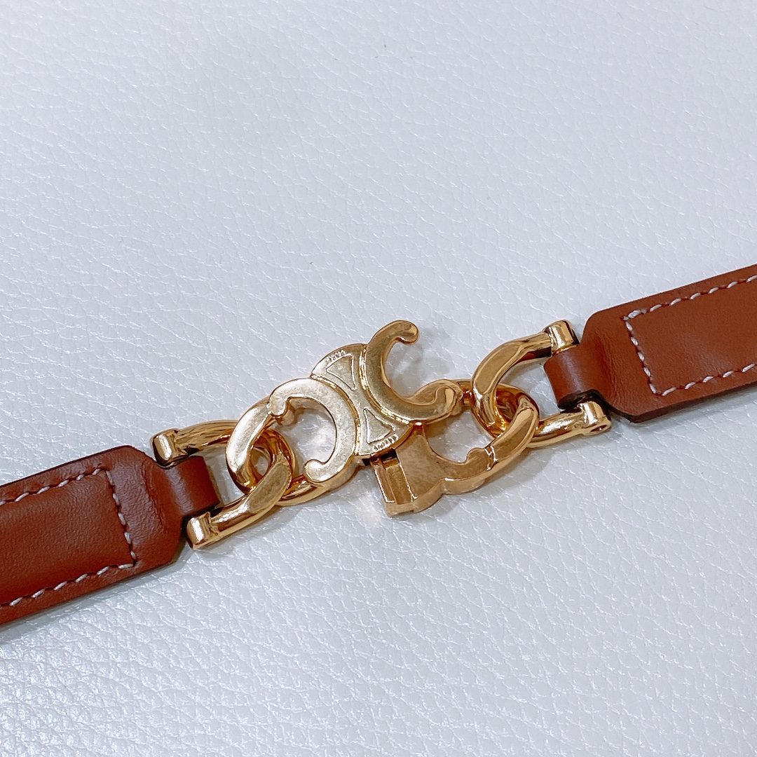 Celine Triomphe Gourmette Adjustable Belt In Black/Brown/White Taurillon Leather With Gold/Silver Hardware - 图片 9