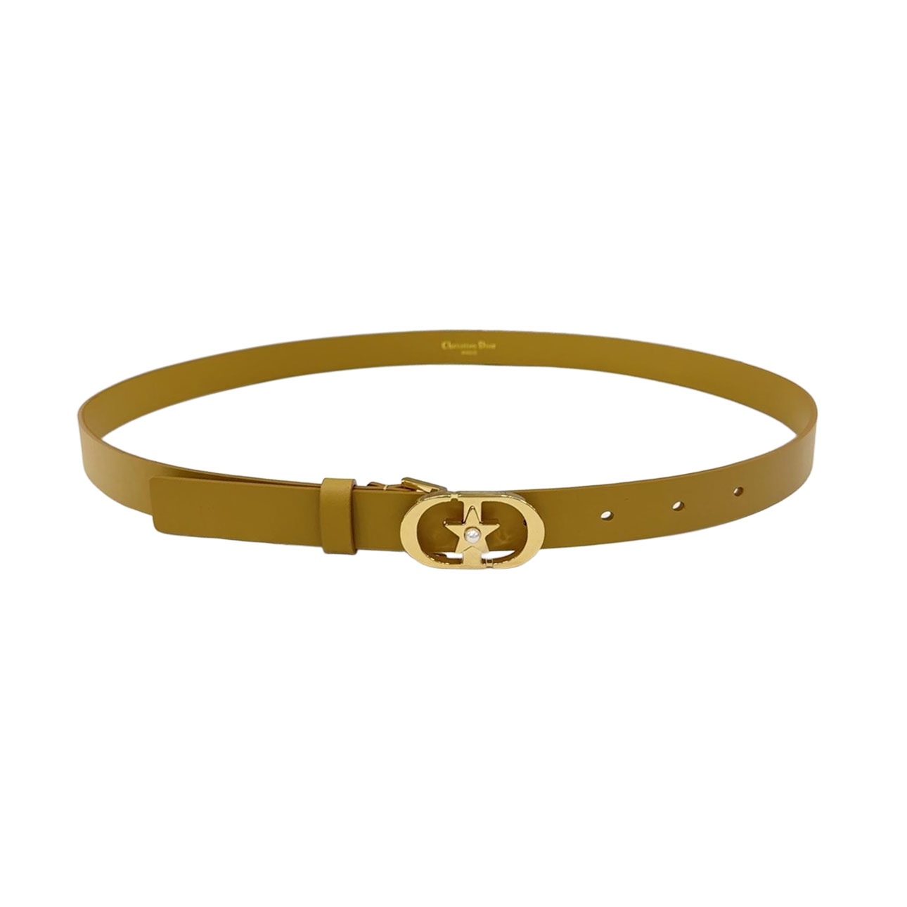 Dior Women' s Lucky 30 Montaigne Star Buckle Belt In Black/Red/White/Pink/Musturd/Brown/Khaki/Silver/Gold/Blue/Grey Calfskin With Gold/Silver Hardware 20mm - 图片 8