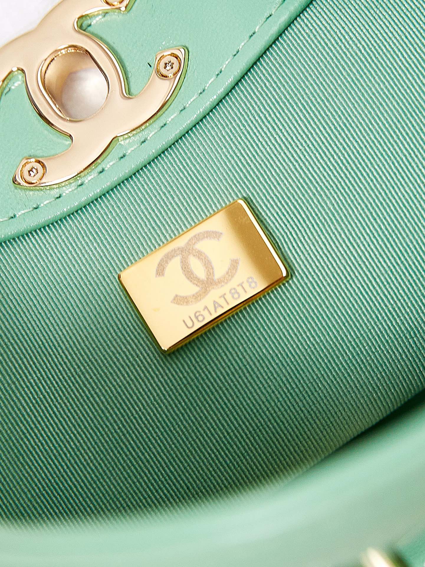 Chanel Oil Wax Leather Green Crossbody Bags - 图片 10
