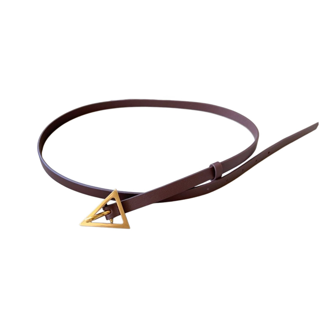 Bottega Veneta Women's Triangle Buckle Belt In Black/Green/Coffee Calfskin With Gold/Silver Hardware 13mm - 图片 9