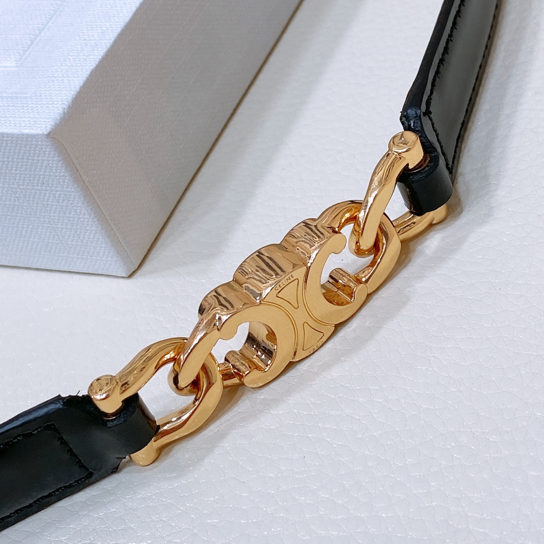 Celine Triomphe Gourmette Adjustable Belt In Black/Brown/White Taurillon Leather With Gold/Silver Hardware - 图片 2