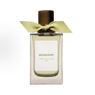 BURBERRY WOMEN 100ml Fragrance ( Edp ）