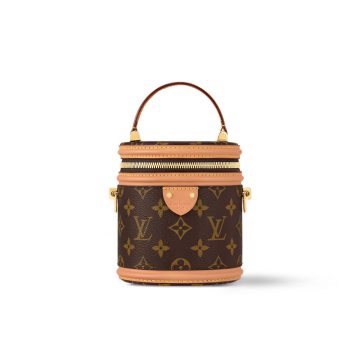 Louis Vuitton Bags  Cannes
