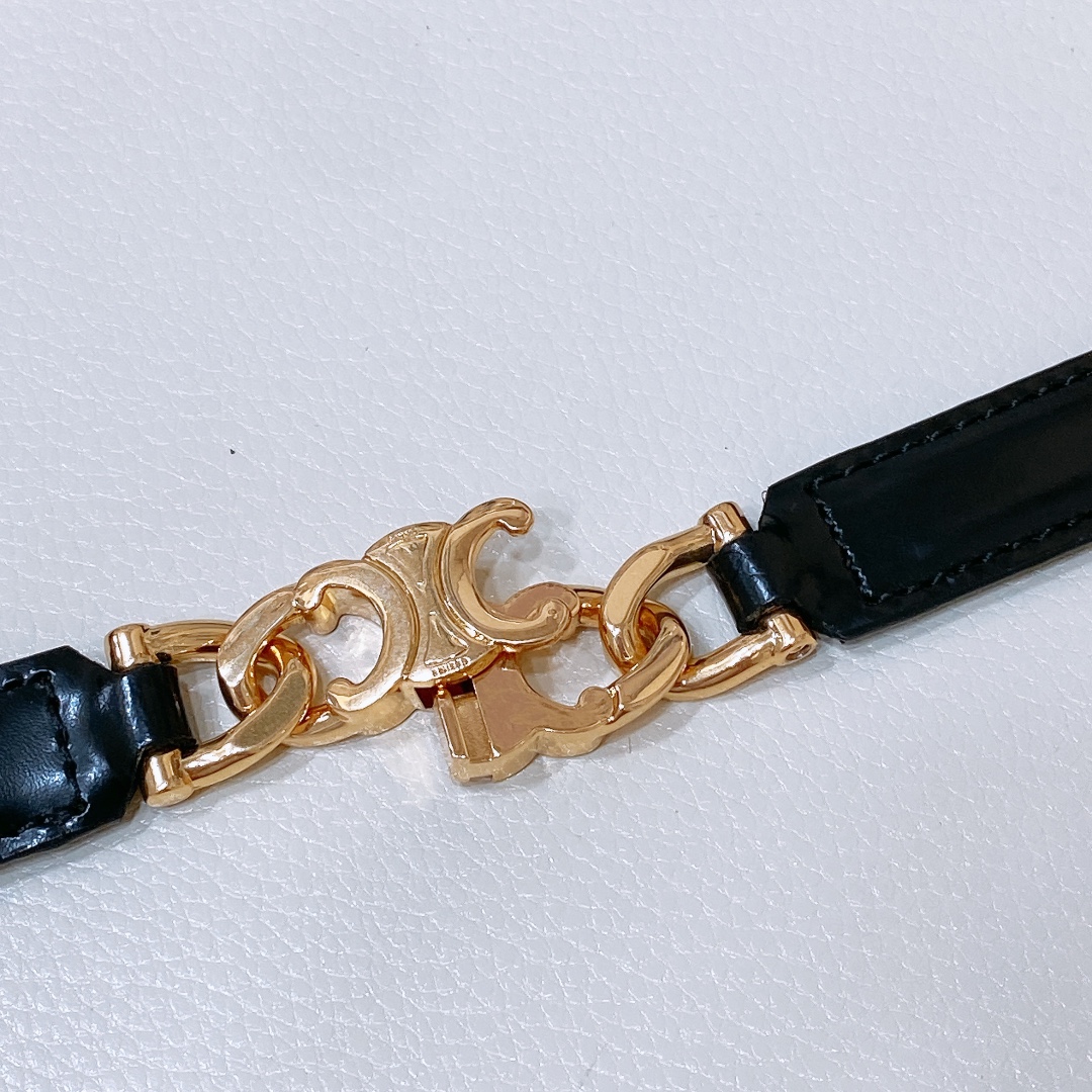 Celine Triomphe Gourmette Adjustable Belt In Black/Brown/White Taurillon Leather With Gold/Silver Hardware - 图片 3