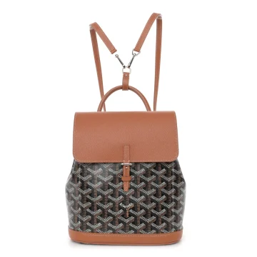 Goyard Mini Alpin Backpack Black/Gold Goyardine Canvas & Calfskin Leather Silver Hardware