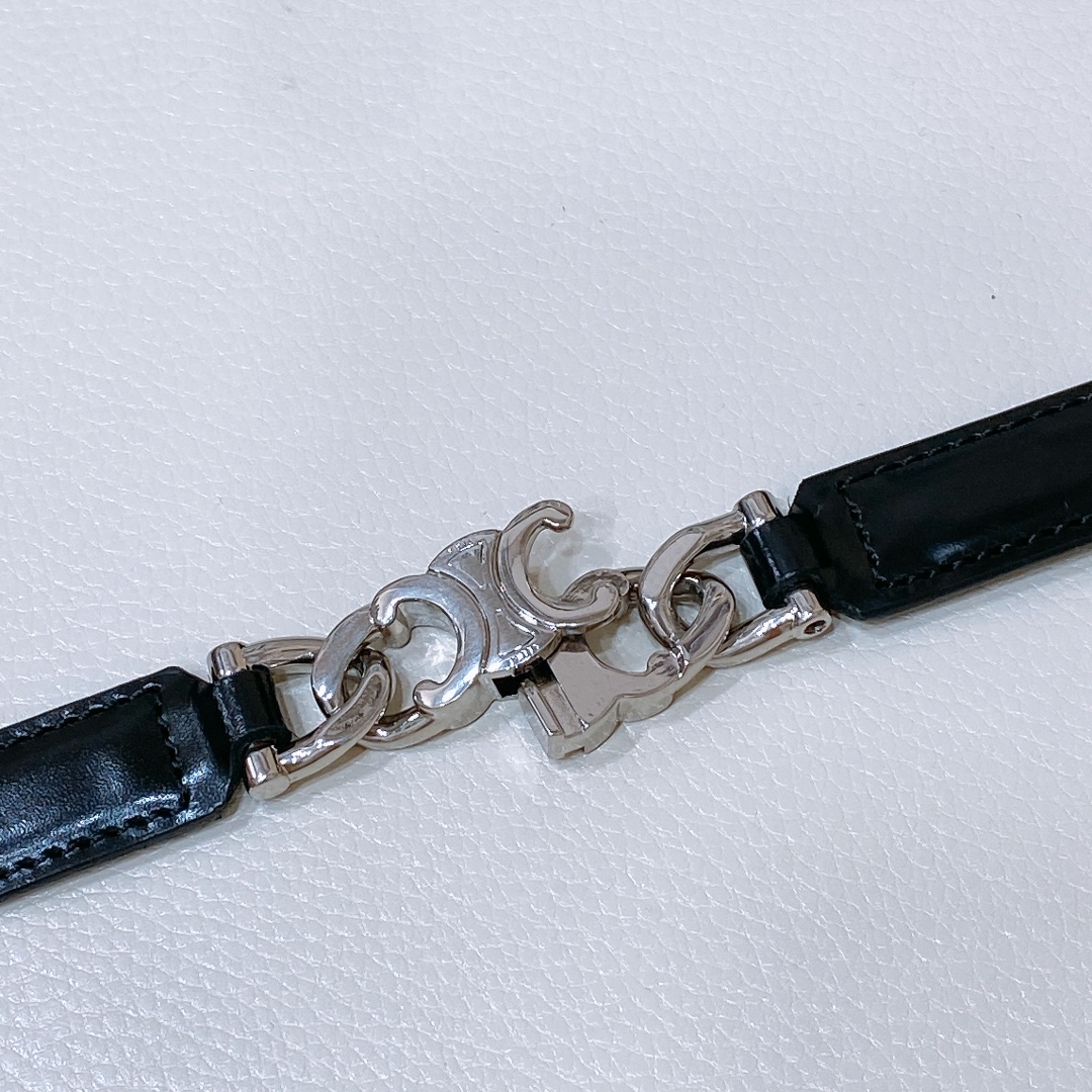 Celine Triomphe Gourmette Adjustable Belt In Black/Brown/White Taurillon Leather With Gold/Silver Hardware - 图片 7