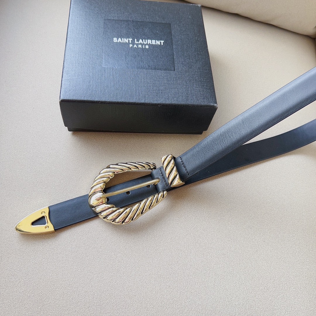 Saint Laurent Croissant De Lune Buckle Large Belt In Black Smooth Calfskin With Gold Hardware 30mm - 图片 4