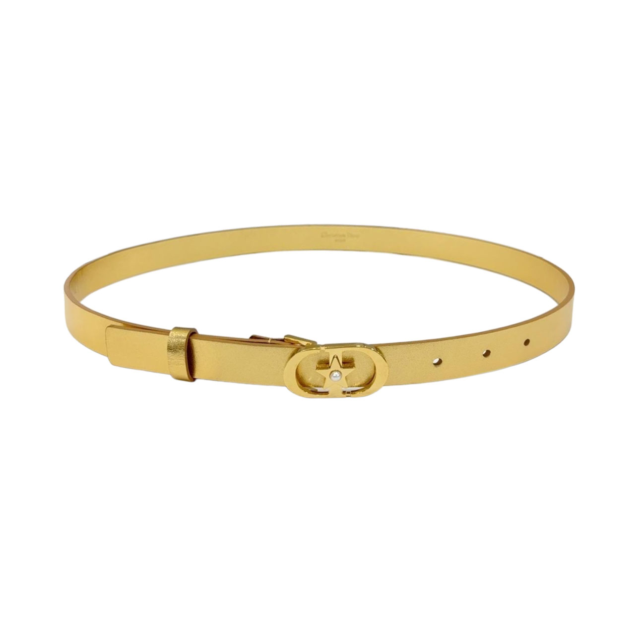 Dior Women' s Lucky 30 Montaigne Star Buckle Belt In Black/Red/White/Pink/Musturd/Brown/Khaki/Silver/Gold/Blue/Grey Calfskin With Gold/Silver Hardware 20mm - 图片 6