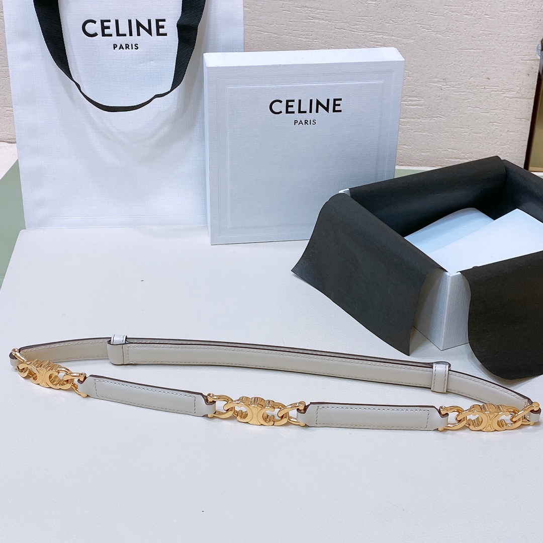 Celine Triomphe Gourmette Adjustable Belt In Black/Brown/White Taurillon Leather With Gold/Silver Hardware - 图片 10