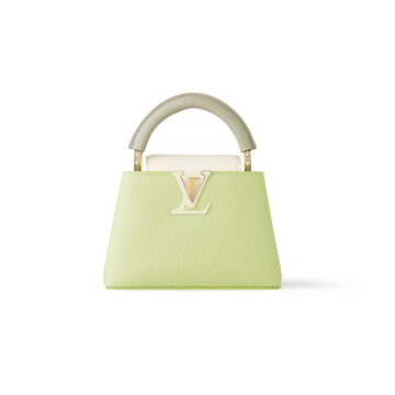Louis Vuitton Bags Capucines