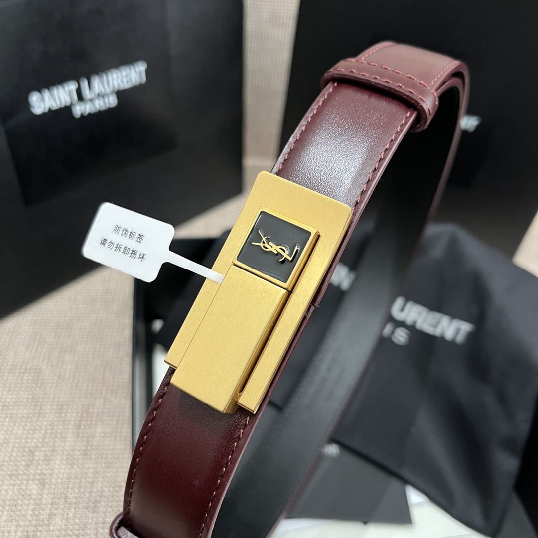 Saint Laurent Charniere Buckle Belt In Black/Burgundy Smooth Calfskin With Gold Hardware 30mm - 图片 4