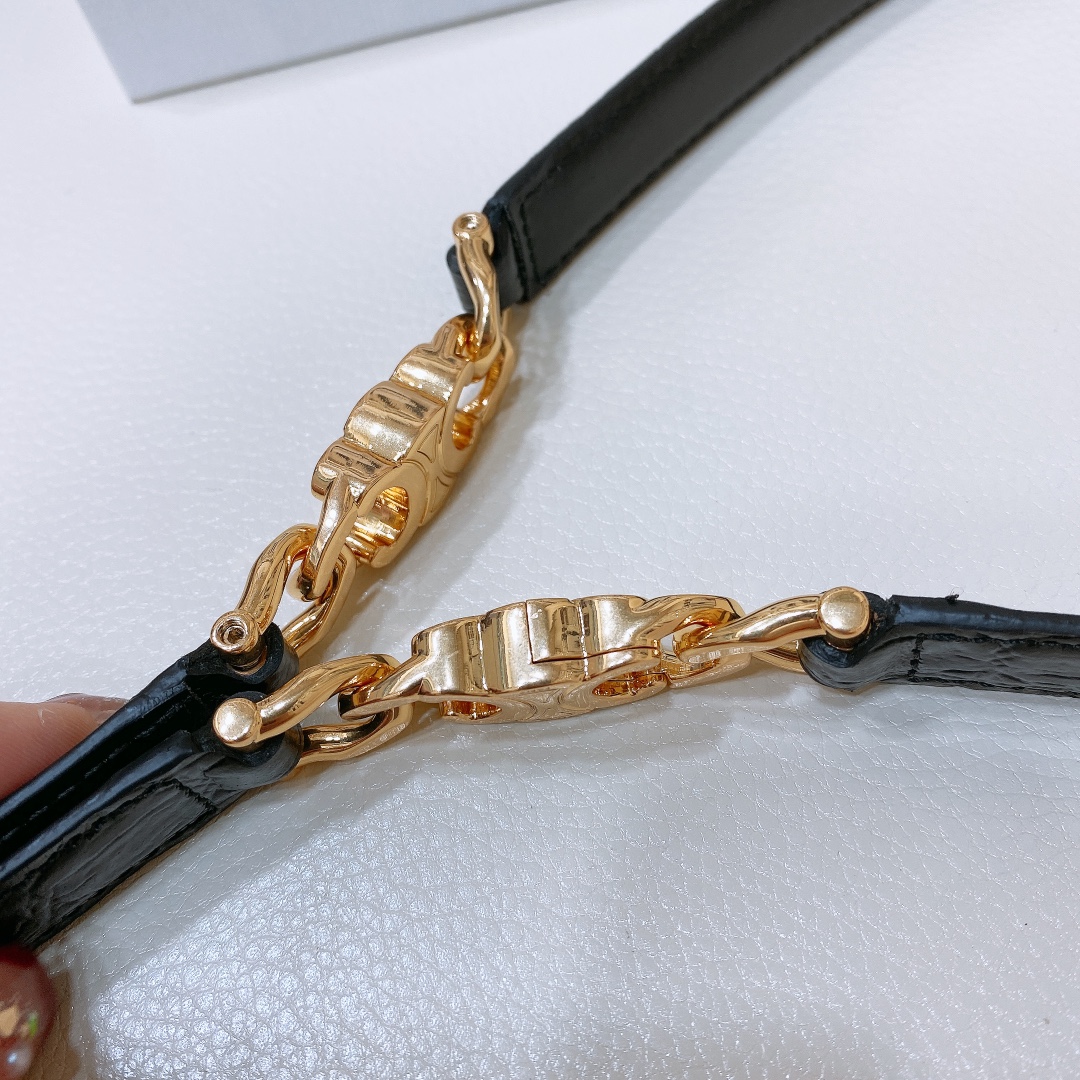 Celine Triomphe Gourmette Adjustable Belt In Black/Brown/White Taurillon Leather With Gold/Silver Hardware - 图片 5