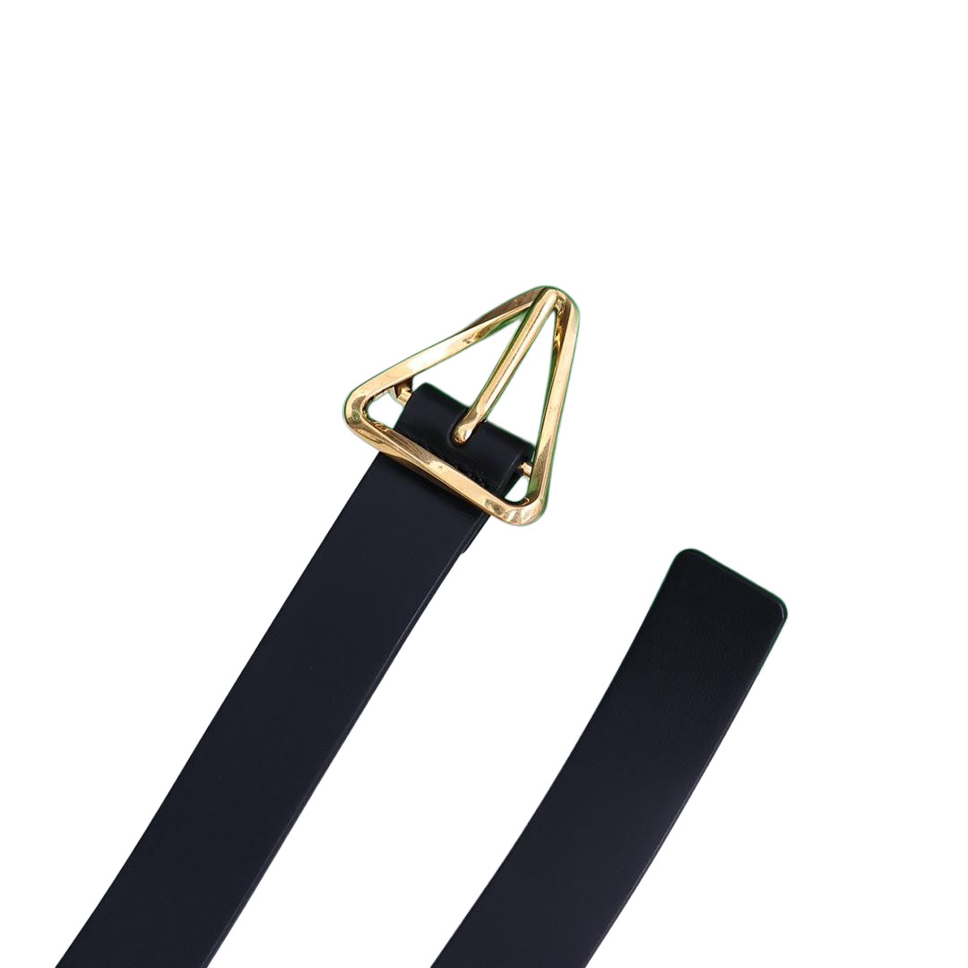 Bottega Veneta Women's Triangle Buckle In Black/White/Beige Calfskin With Gold/Silver Hardware 25mm - 图片 4