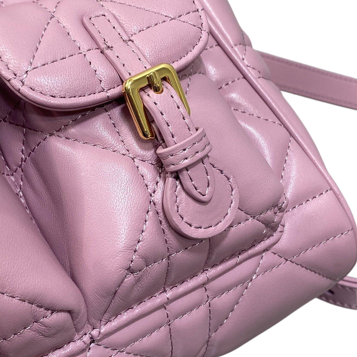 Dior Medium Dior Caro Backpack In Purple/Blue/Burgundy/Beige/White/Black Macrocannage Lambskin Gold Hardware - 图片 6